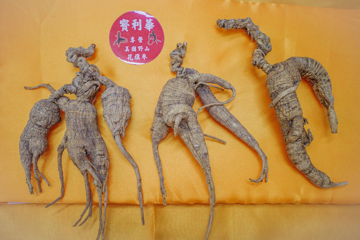 寶利華參行有限公司