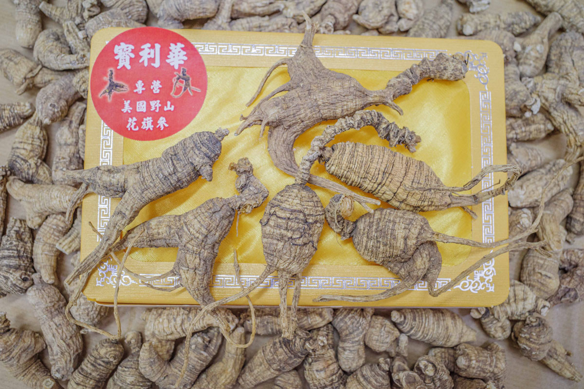 尊尙圓粒野山花旗參